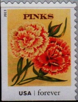 Colnect-1822-283-Seed-Packets-Pinks.jpg