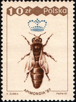 Colnect-1966-074-Queen-Apis-mellifera.jpg