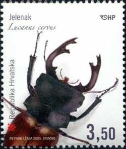 Colnect-363-511-Stag-Beetle-Lucanus-cervus.jpg