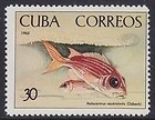 Colnect-1621-934-Longjaw-Squirrelfish-Holocentrus-ascensionis.jpg