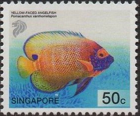 Colnect-2188-155-Yellow-faced-Angelfish-Pomacanthus-xanthometapon.jpg