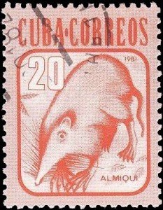 Colnect-1432-551-Cuban-Solenodon-Solenodon-cubanus-.jpg