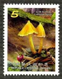 Colnect-1854-157-Entoloma-murraii.jpg