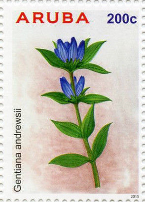 Colnect-3122-324-Gentiana-andrewsii.jpg