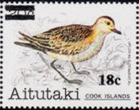 Colnect-3441-409-American-Golden-Plover-Pluvialis-dominica.jpg