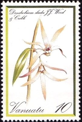 Colnect-4499-377-Dendrobium-sladei.jpg