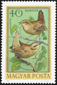 Colnect-893-987-Eurasian-Wren-Troglodytes-troglodytes.jpg