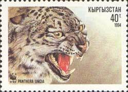 Colnect-196-758-Snow-Leopard-Panthera-uncia.jpg