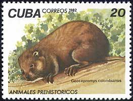 Colnect-671-174-Hutia-Geocapromys-colombianus.jpg