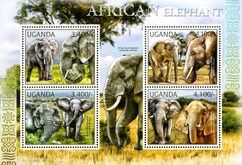 Colnect-1716-932-African-Elephant-Loxodonta-africana.jpg