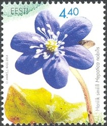 Colnect-403-504-Hepatica-nobilis.jpg