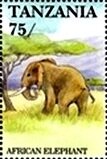 Colnect-5995-761-African-Elephant-Loxodonta-africana.jpg