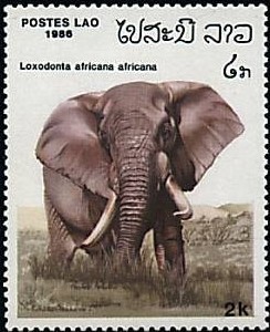 Colnect-748-724-African-Elephant-Loxodonta-africana.jpg