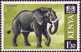 Colnect-752-322-African-Elephant-Loxodonta-africana.jpg