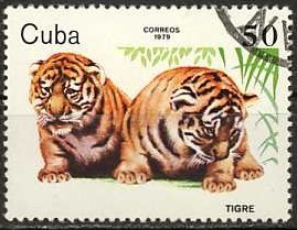 Colnect-1118-270-Tiger-Panthera-tigris.jpg