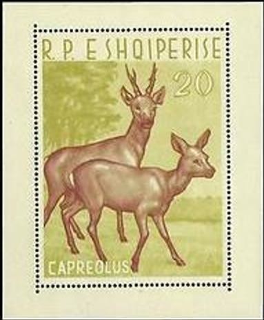 Colnect-1375-749-Roe-Deer-Capreolus-capreolus.jpg