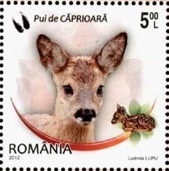 Colnect-1398-581-Roe-Deer-Capreolus-capreolus.jpg