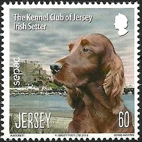 Colnect-1630-409-Irish-Setter-Canis-lupus-familiaris.jpg