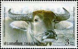 Colnect-1667-836-Wild-Water-Buffalo-Bubalus-arnee.jpg