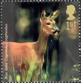 Colnect-1801-785-Roe-Deer-Capreolus-capreolus.jpg