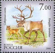 Colnect-191-208-Reindeer-Rangifer-tarandus.jpg