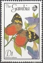 Colnect-1972-675-Butterfly-Aterica-rabena.jpg