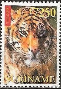 Colnect-2021-067-Tiger-Panthera-tigris.jpg