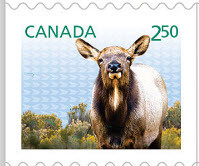 Colnect-2291-766-Wapiti-Cervus-elaphus-canadensis.jpg