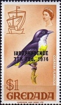 Colnect-2385-378-Bananaquit-Coereba-flaveola---Overprinted.jpg