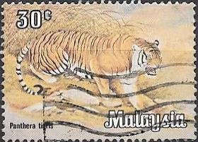 Colnect-3647-307-Tiger-Panthera-tigris.jpg