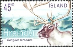 Colnect-439-658-Reindeer-Rangifer-tarandus.jpg