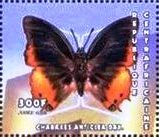 Colnect-4742-207-Small-Flame-bordered-Charaxes-Charaxes-anticlea.jpg