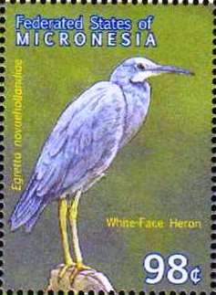 Colnect-5727-251-White-Face-Heron-Egretta-novaehollandiae.jpg