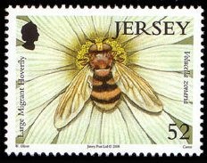 Colnect-706-328-Hornet-Hoverfly-Volucella-zonaria-.jpg