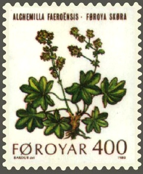 Faroe_stamp_046_mountain_flowers_%28alchimella_faeroensis%29.jpg