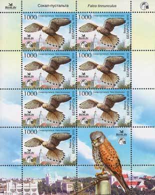 Colnect-1060-133-Common-Kestrel-Falco-tinnunculus.jpg