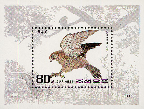 Colnect-1614-818-Common-Kestrel-Falco-tinnunculus.jpg