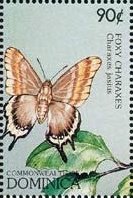 Colnect-3214-322-Foxy-Charaxes-Charaxes-jasius-saturnus.jpg