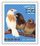 Colnect-3821-312-Society-Finches-Lonchura-Striata-Domestica.jpg