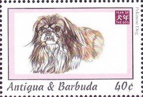 Colnect-4182-925-Pekingese-dog-not-antiquity.jpg