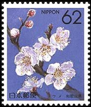 Colnect-512-957-Japanese-Apricot-Wakayama.jpg