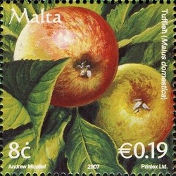 Colnect-657-682-Apples-Malus-domestica.jpg