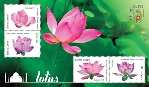 Colnect-6224-690-Stamps-Exhibition-Indipex-2011.jpg