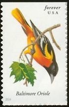 Colnect-2170-426-Baltimore-Oriole-Icterus-galbula.jpg