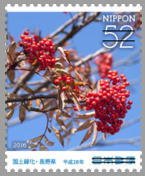 Colnect-3536-637-Japanese-Rowan-Sorbus-commixta.jpg