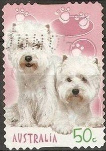 Colnect-455-902-West-Highland-White-Terrier-Canis-lupus-familiaris.jpg