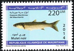 Colnect-4660-501-Marine-Life-Of-Mauritania-Series-II.jpg