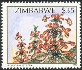 Colnect-552-589-Wildflowers-of-Zimbabwe-Series-2---Wild-dagga-Leonotis-nepe.jpg