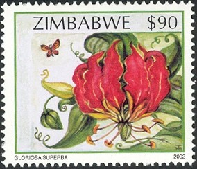 Colnect-552-593-Wildflowers-of-Zimbabwe-Series-2---Flame-lily-Gloriosa-supe.jpg