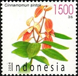 Colnect-1586-634-Flora-and-Fauna---Cinnamomum-sintok.jpg